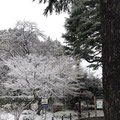成城の雪景色