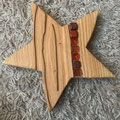 Weihnachtsstern 5