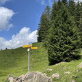 Alp Looch