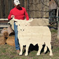Stier Nr.12 / Höhe 1,20m x 1,30m Länge