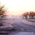 Misty Morning