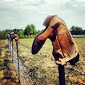 Boot Fence