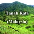 Tanah Rata (Malaysia)