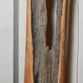 Birnbaumstamm, Bruchholz, 2020, 190 cm