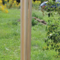 LEBEN, 2009 / 2010, 220 cm