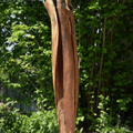 Morscher Apfel, 2017, 220 cm