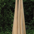 Weißbuche II, 2013, 136 / 40 cm