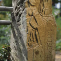 1. Mose 19.26, 100 cm