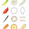野菜の断面図