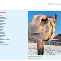 Bulletin 2016