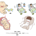 「ママとパパのための妊娠・出産・子育てノート」赤ちゃん