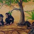 * 56. Schimpansenfamilie 69x33 cm