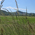 ENDE 