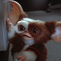 Gizmo