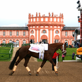 Danny beim Pfingstturnier in Wiesbaden 2013