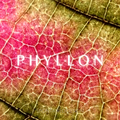 Phyllon - 2021