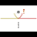 D:片結び　classic
