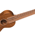l'ukulele