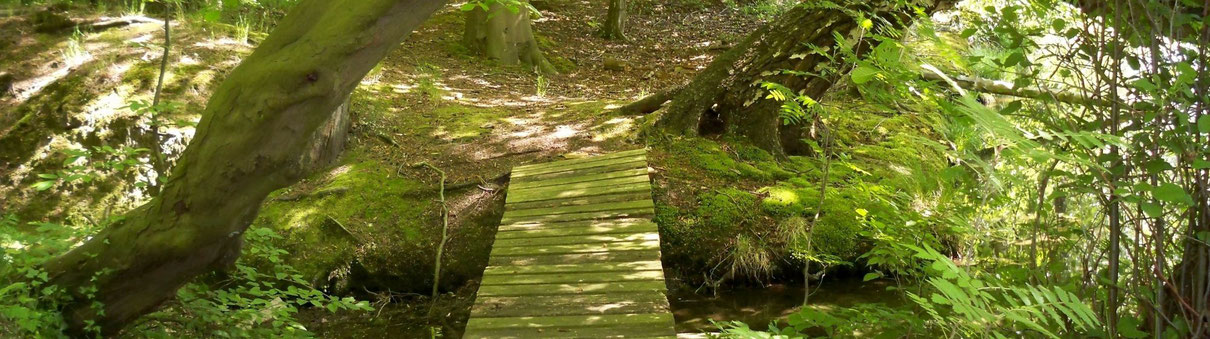 Brücke für den Übergang: Abschied und Sterben