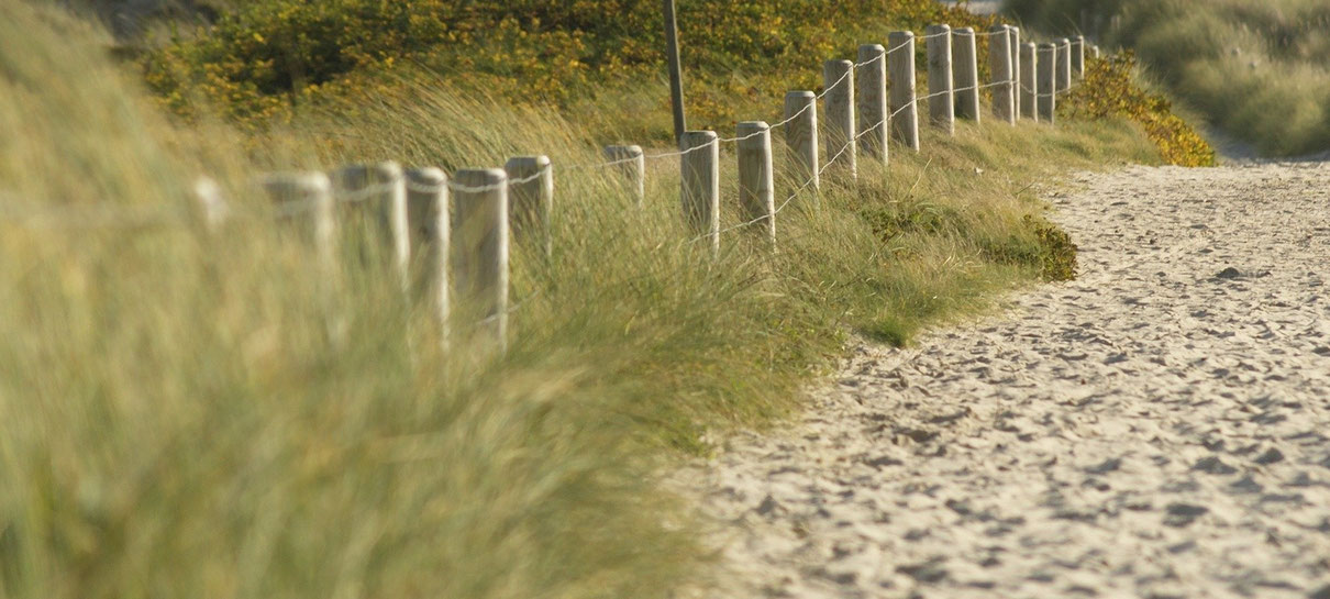Joggingtouren auf Stylt - Sonnenscheinsylt.com - Luxus Strandapartment auf Sylt Buchen