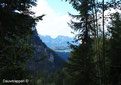 Velden bij het Hürtgenwald