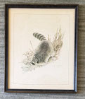 Martin Loates Reproduction