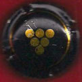 PLACA DE CAVA (ITALIA) GIACOBAZZI (NEGRA) FALDÓN  C.V.C. S.R.L. CÓDIGO ITAGIA068919 - Color negro. Faldón: texto, de color dorado (oro). Centro: círculo y dibujo uva, de color dorado (oro). Diferente de la ITGIA56893 (USADA) 1€.