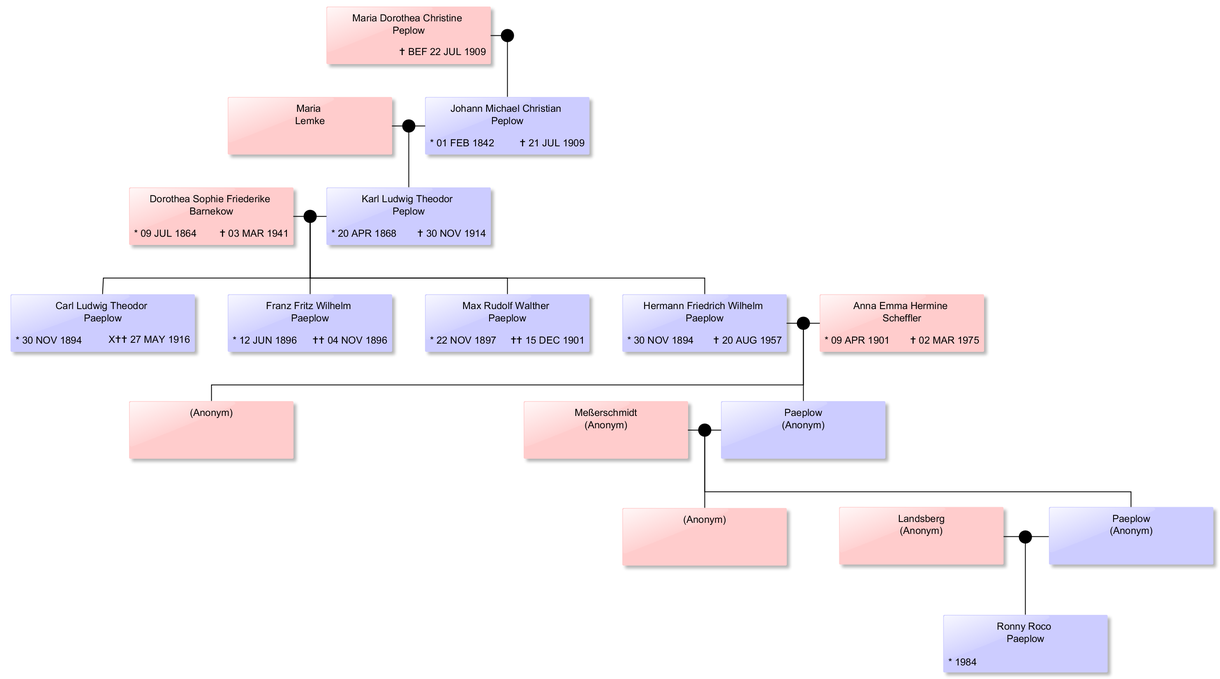 Begriffe: Genealogie, Stammbaum und Co - RP Ahnenforschung: Ahnenforschung in Vorpommern ...