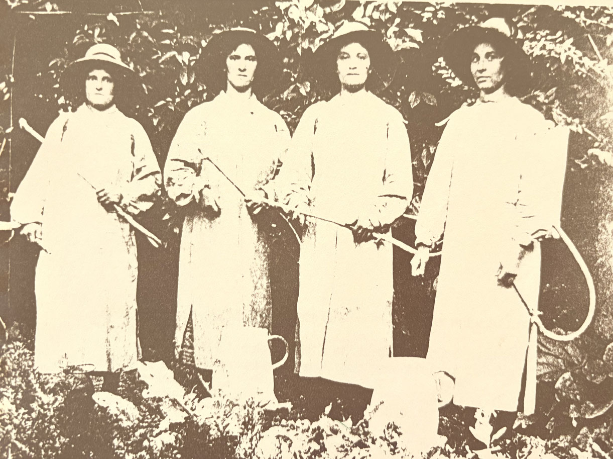 Vigneronnes en charge du traitement, vignoble alsacien, Photographie conservée au Musée des Vins d'Alsace, à Kientzheim
