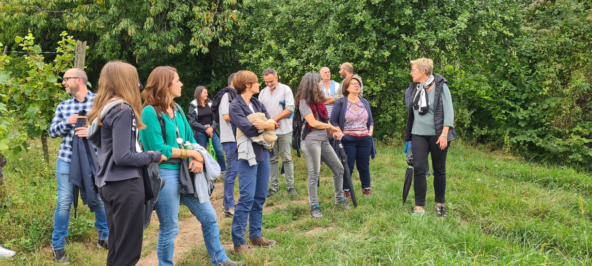 Caroline CLAUDE-BRONNER, votre guide-conférencière en Alsace : Terroirs, Vignes et Vins, Histoire et Arts www.cheminsbioenalasace.fr