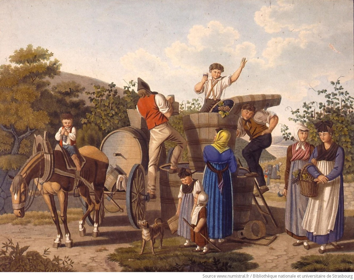 Vendanges en Alsace vers 1850, Bibliothèque nationale et universitaire de Strasbourg , NIM23852