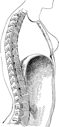 le diaphragme, croquis 1908, Common Wikimedia