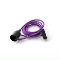 Lavender Purple