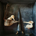 Assemblage met vogelschedeltjes Ellen Brouwers Ellen Eva Brouwers 