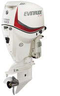 recambios de motores fueraborda johnson evinrude