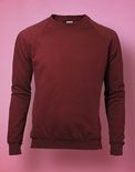 Textildruck Mens Raglan Sweatshirt SG23