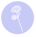 Rose in fliederfarbenen Kreis