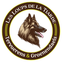 Elevage des Loups de a Tiarde - Bergers Belges en Charente