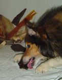 Hamme Knochen