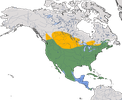 Karte zur Verbreitung der Carolinataube (Zenaida macroura)