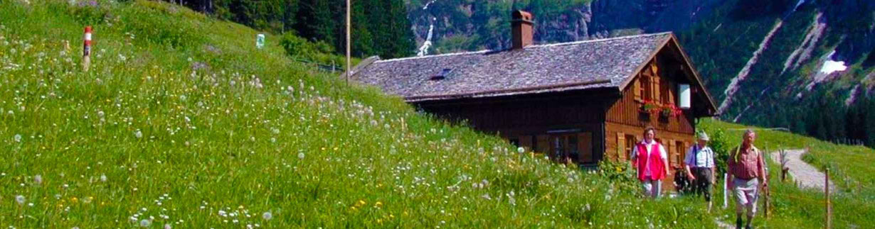 Innere Wiesalpe im Kleinwalsertal, Bergkäse, Wurst, Alpkäse, Butter, Schinken, Speck Brotzeiten und zum Kauf, Ausflugsziel, Alpe im Wildental, 1.300 m, Online-Shop