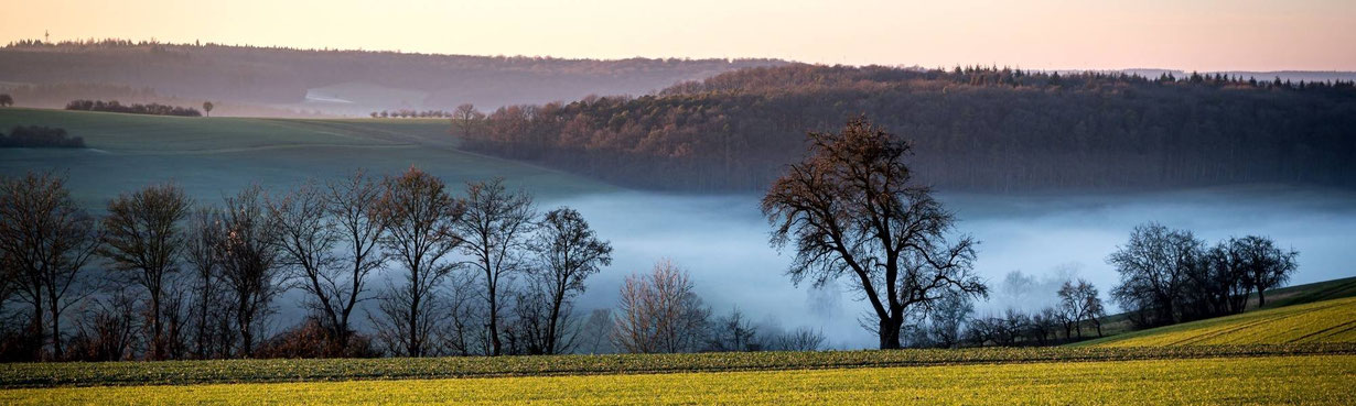 Sanfte Hügellandschaft im frühen Licht. Nebel liegt wie ein leiser Schleier im Tal. Ein einzelner Baum steht ruhig im Raum. Ein Bild von Übergang, Weite und dem Moment, bevor Zukunft sichtbar wird.