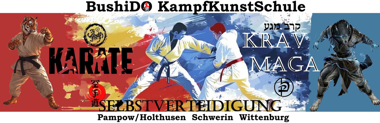 Bushido Krav Maga Schwerin Pampow 
