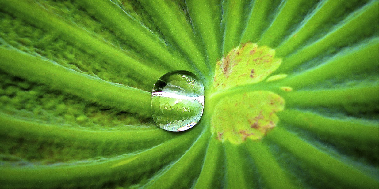 Übersicht der Praxis Dr. med. Hildebrandt Praxis Dr. med. Stefanie