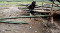 Bamboo DIY