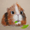 Meerschweinchen Porträt Leinwand Kunstdruck Malerei Kunst Tierart