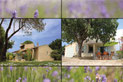 Location Vacances Vaucluse