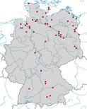 Brutverdacht 13-20