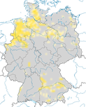 Karte zum Brutvorkommen des Brachvogels (Numenius arquata) in Deutschland.