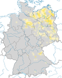 Karte zu den Brutvorkommen des Waldwasserläufers (Tringa ochropus) in Deutschland.